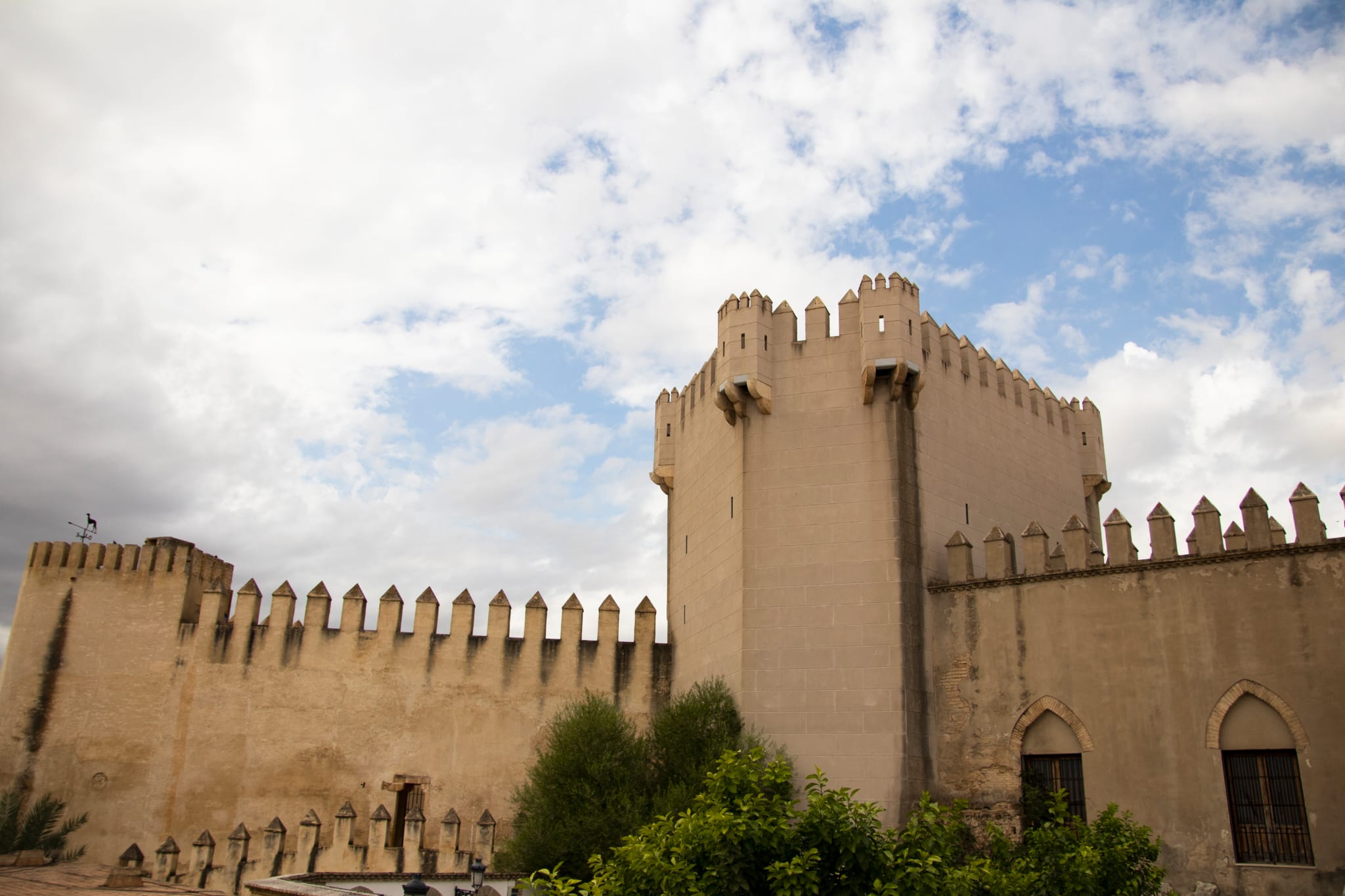 WhatsApp Image 2019-12-17 at 10.54.33