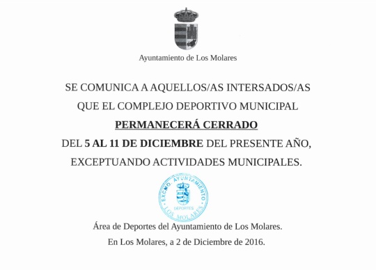 CIERRE POLIDEPORTIVO PUENTE CONSTITUCION