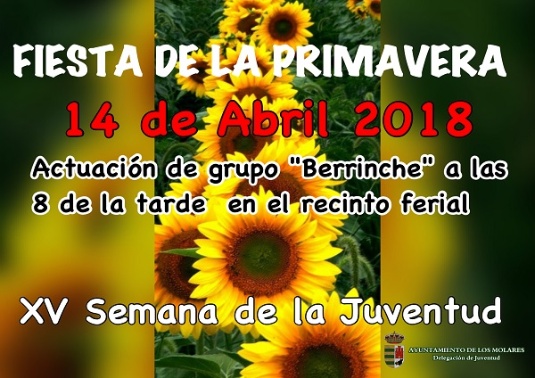Cartel Fiesta Juventud 2018