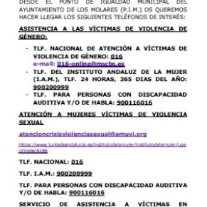 INFORMACION PIM 1