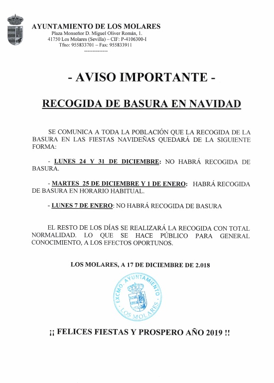 RECOGIDA BASURA NAVIDAD 2018