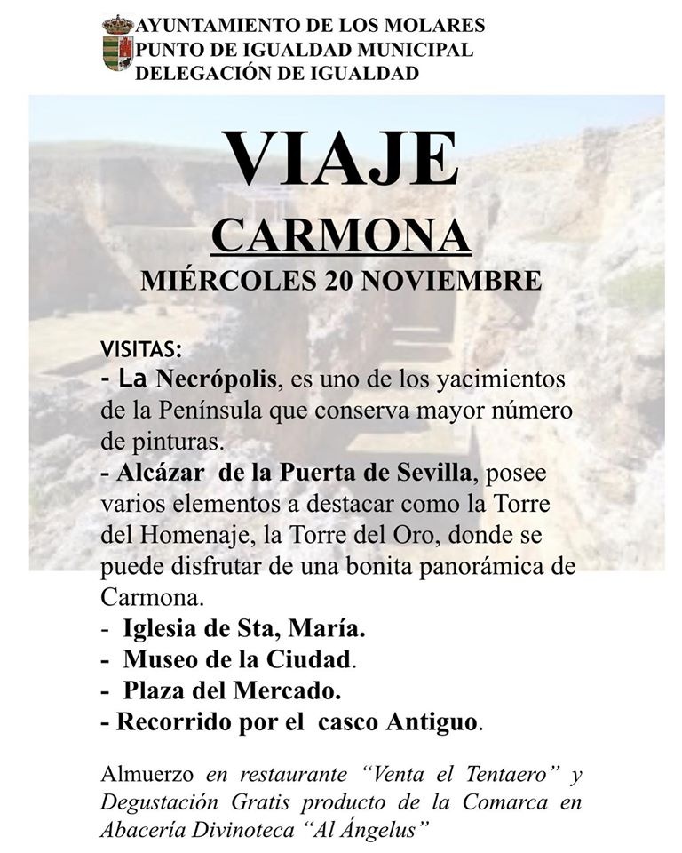 VIAJE A CARMONA