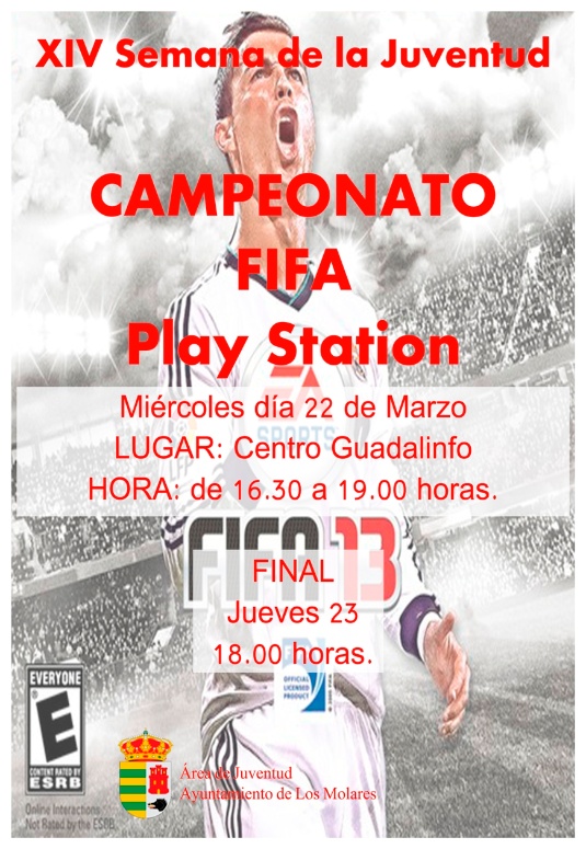 cartel CAMPEONATO FIFA reducido